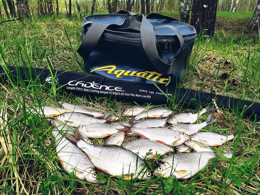 CR10 Feeder #2 (10ft), 290 см, 15-60г, Fast фото 4